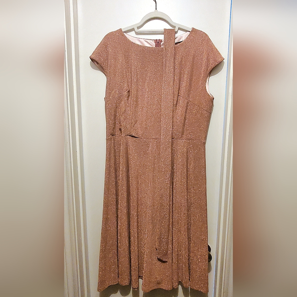 Pink sparkly dress size 2XL with ribbon